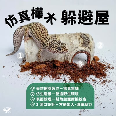 爬蟲仿真樺木躲避屋 S／M／L2