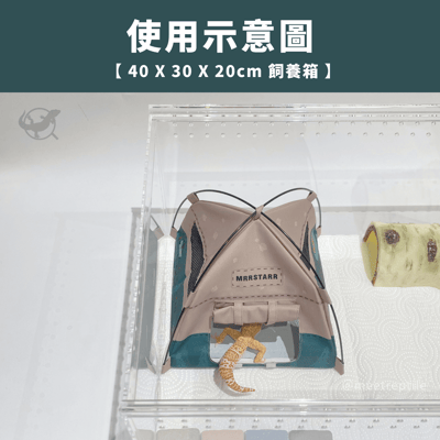 爬寵帳篷躲避屋4