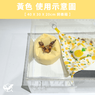 爬寵懶骨頭沙發7