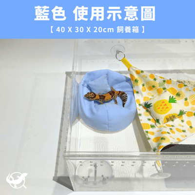 爬寵懶骨頭沙發4