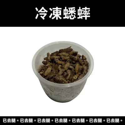 爬寵冷凍蟋蟀飼料（已去腿）1
