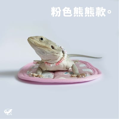 爬蟲長方形窩墊7