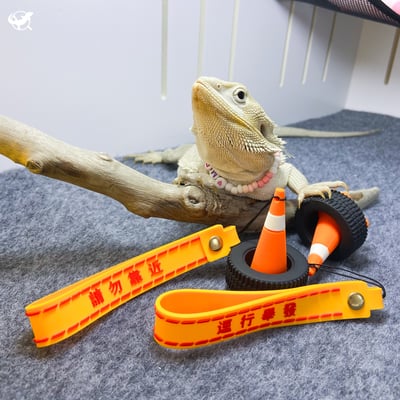 爬蟲三角錐安全警示擺設2