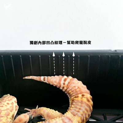 陶瓷加濕躲避屋5