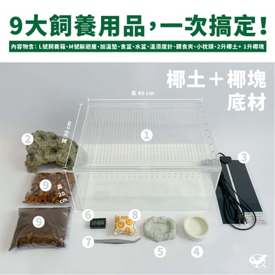 守宮寬敞舒適組3