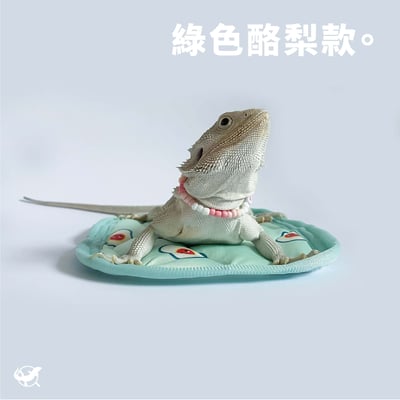 爬蟲長方形窩墊5