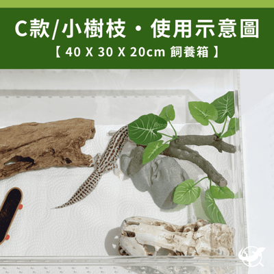 爬蟲仿真樹枝造景5