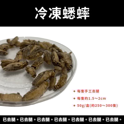 爬寵冷凍蟋蟀飼料（已去腿）2