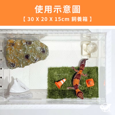 守宮迷你三角錐擺設3