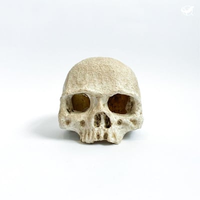 仿真骷顱頭躲避屋4