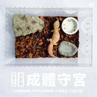 爬蟲壓克力飼養箱5