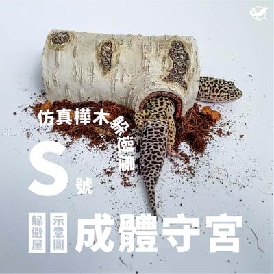 爬蟲仿真樺木躲避屋 S／M／L3