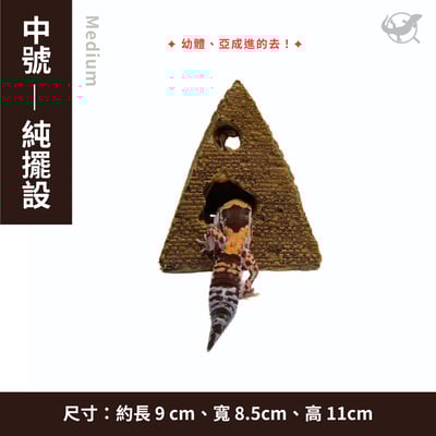 守宮金字塔躲避屋 / 擺設3