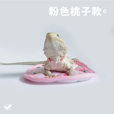 爬蟲長方形窩墊4