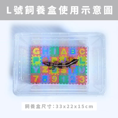 守宮迷你巧拼地墊6