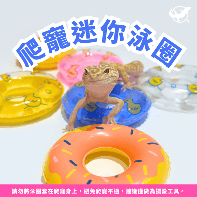 爬寵迷你泳圈1
