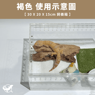 仿真樹洞躲避屋3