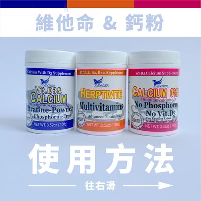 Leader 爬蟲專用純鈣粉4