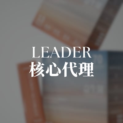 Leader 核心代理 (全額折抵商品)1