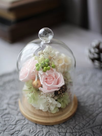 永生花玻璃鐘罩 / 輕柔粉 NT19802