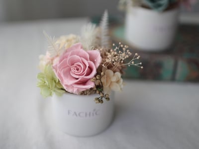 永生玫瑰小桌花 / 薰粉色 NT8902