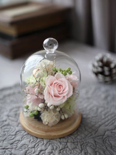 永生花玻璃鐘罩 / 輕柔粉 NT19801