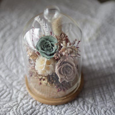 永生花玻璃鐘罩 / 個性棕 NT19803