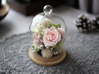 永生花玻璃鐘罩 / 輕柔粉 NT19805
