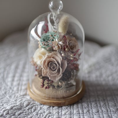 永生花玻璃鐘罩 / 個性棕 NT19802