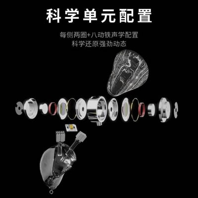 MoonDrop 水月雨 Dark Saber 黑劍 耳道式耳機 入耳 十單元 二圈八鐵4