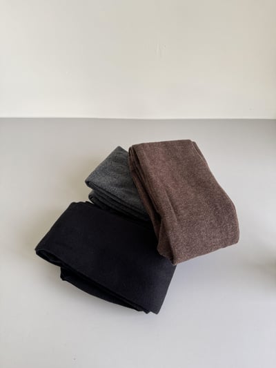 現貨 BEST！回歸) 冬季必備！保暖纖細棉質褲襪 3色2