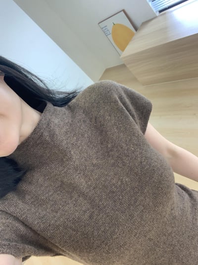 現貨 BEST！回歸) 合身微辣半袖小高領洋裝 2色3