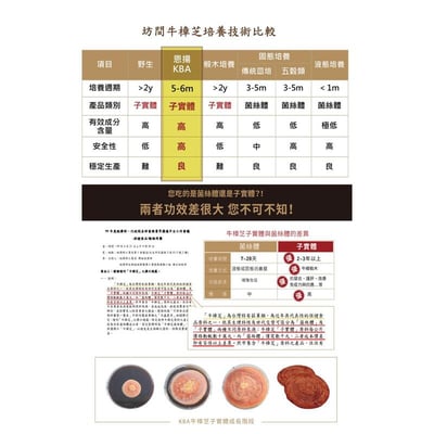 【VIP】安特亞 頂級牛樟芝子實體純方膠囊（純方）三盒優惠組4