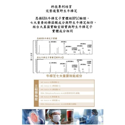 【VIP】安特亞 頂級牛樟芝子實體純方膠囊（純方）5