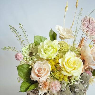 若草春色永生玫瑰盆花(中型)3