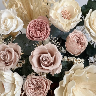 奶茶色永生玫瑰盆花(大型）2