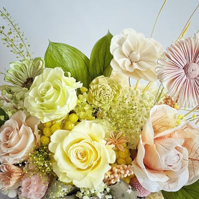 若草春色永生玫瑰盆花(中型)2