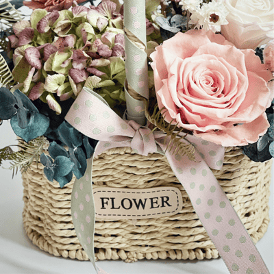 青春永駐永生康乃馨盆花3