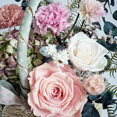 青春永駐永生康乃馨盆花2