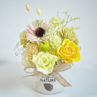 蘋安幸福永生玫瑰小盆花1