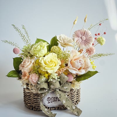 若草春色永生玫瑰盆花(中型)1