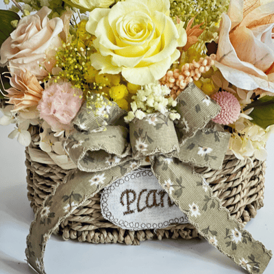 若草春色永生玫瑰盆花(中型)4