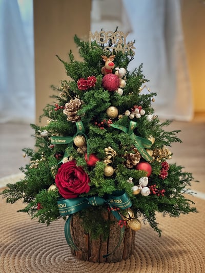 緋紅燦金永生聖誕樹1