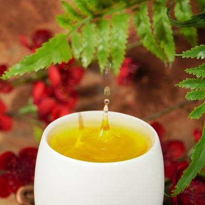 福壽迎香早春茶(一、三斤▸送茶包10入）4