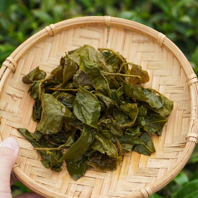 梨山穀雨茶 (半、二斤)7