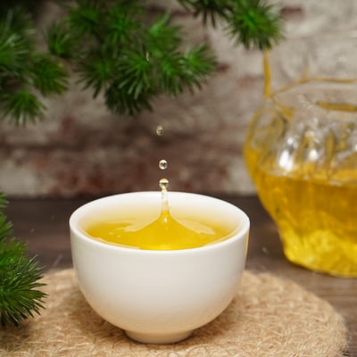 福壽山高冷春茶（再送天池秋茶試喝包15g）4