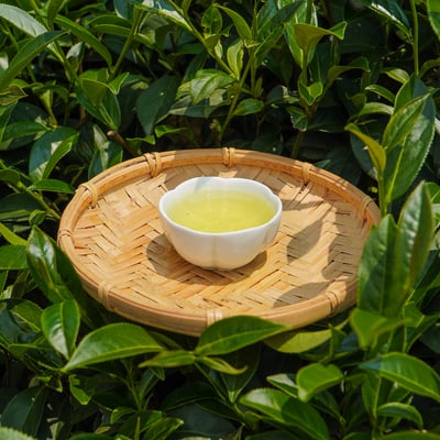 梨山穀雨茶 (半、二斤)4