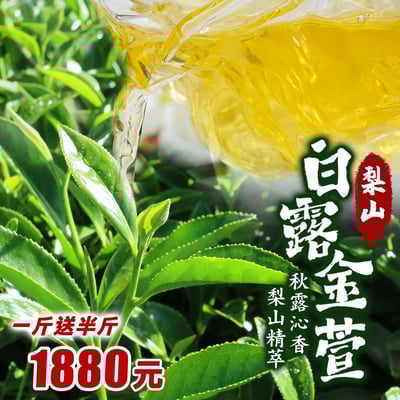 秋季絕品｜梨山白露金萱 (送半斤)1