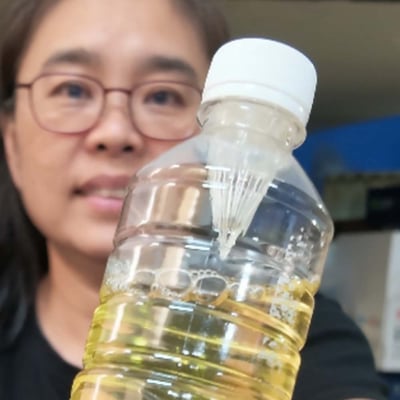 合歡山雲露茶 (一送一附贈茶米濾嘴 2入)5