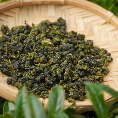 梨山穀雨茶 (半、二斤)2